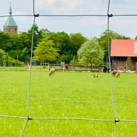 Seelenliebe Kevelaer